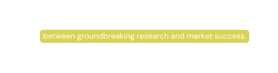 between groundbreaking research and market success